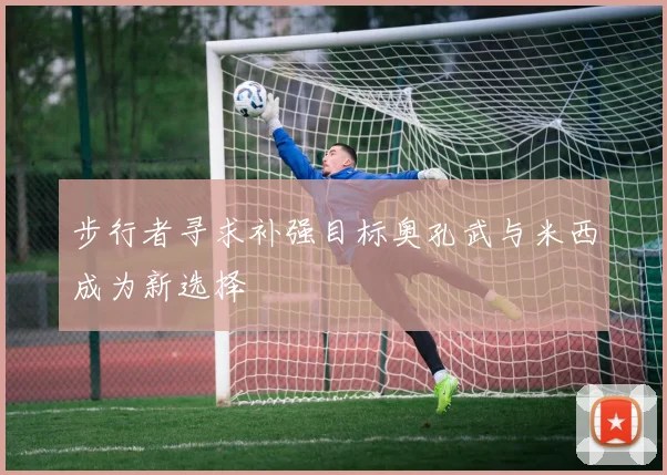 步行者寻求补强目标奥孔武与米西成为新选择