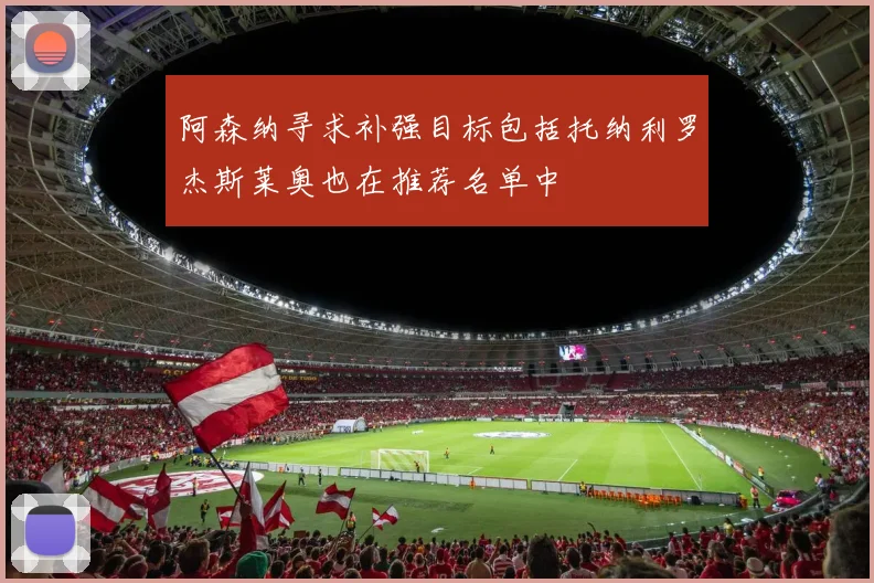 阿森纳寻求补强目标包括托纳利罗杰斯莱奥也在推荐名单中