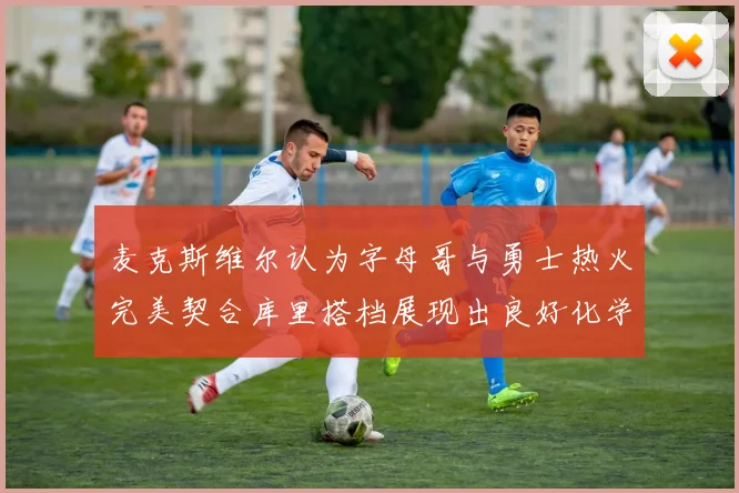 麦克斯维尔认为字母哥与勇士热火完美契合库里搭档展现出良好化学反应